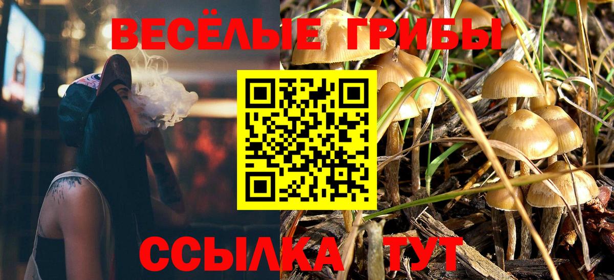 Галлюциногенные грибы MAGIC MUSHROOMS Астрахань