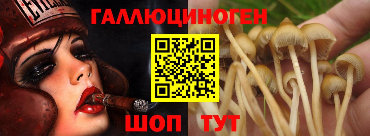 Астрахань  Галлюциногенные грибы Psilocybe  Вход с VPN 